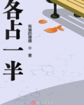 各占一半