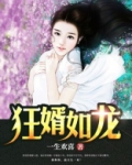 狂婿如龙