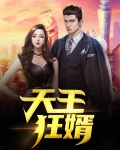 天王狂婿