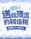 送给顶流的转运镯,出现在小花上