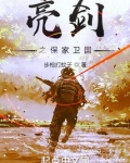 亮剑之保家卫国