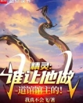 精灵,谁让他做道馆馆主的