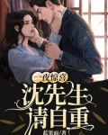 一夜惊喜:沈先生,请自重