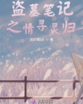 盗墓笔记之情寻灵归