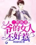 二婚新妻：爷的女人不好惹
