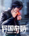 异国奇婿