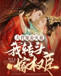夫君宠妾灭妻,我转头嫁权臣