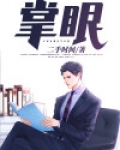 掌眼