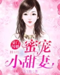 豪门闪婚:蜜宠小甜妻