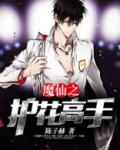 魔仙之护花高手