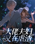 大佬夫妇又在虐渣