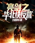 亮剑之华北快反营