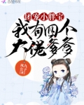 团宠小胖宝：我有四个大佬爹爹