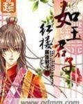 红楼如玉君子