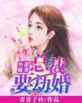 甜妻外嫁,总裁要劫婚
