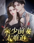 宗少前妻太难追