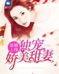 追婚上线:独宠娇美甜妻