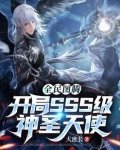 全民图腾:开局SSS级神圣天使