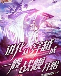 进化从穿越成一艘战舰开始