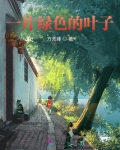 一片绿色的叶子
