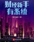 财经新手有系统