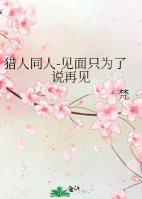 猎人同人-见面只为了说再见