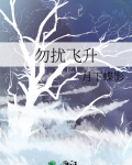 勿扰飞升
