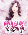 偏执总裁宠妻如命