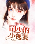 甜婚蜜爱：司少的小逃妻