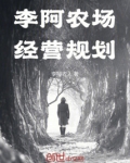 李阿农场经营规划