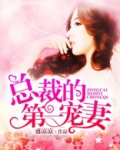 总裁的第一宠妻