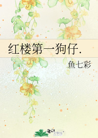 红楼第一狗仔.