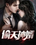 偷天神婿