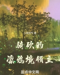 骑砍的凛鸦境领主