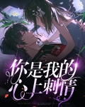 你是我的心上刺情