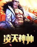 凌天神帅