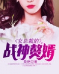 女总裁的战神赘婿