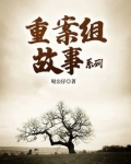 重案组故事系列