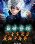 巅峰赘婿：三十年河东，莫欺少年穷！