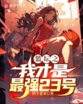 篮坛之我才是最强23号