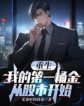 重生:我的第一桶金从股市开始