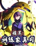 精灵:训练家真司