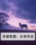 英雄联盟：无双传说