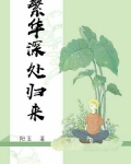 繁华深处归来