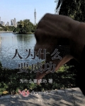 人为什么要成功
