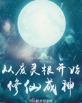 从废灵根开始修仙成神