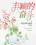 丰颖的奋斗