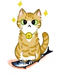 猫猫我啊,养两脚兽捏