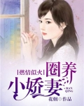 爱一场,梦一场