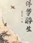 浮梦醉生